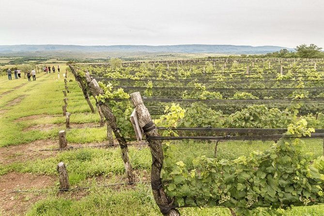 private-wine-tour-to-calamuchita-cordoba-argentina