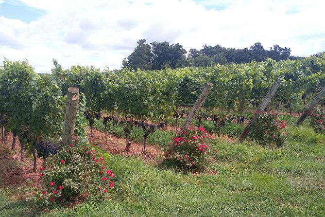 private-wine-tours-minimum-3-maximum-6-pickup-maximum-30-mi-2