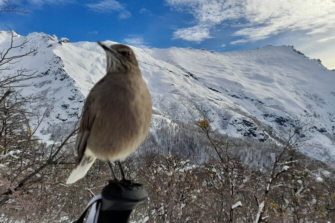 private-winter-trekking-experience-in-bariloche