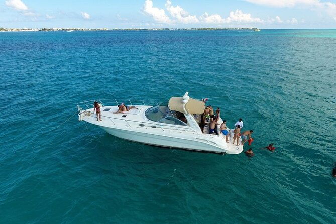 private-yacht-rental-miami-customizable-tours-dolphin-watching