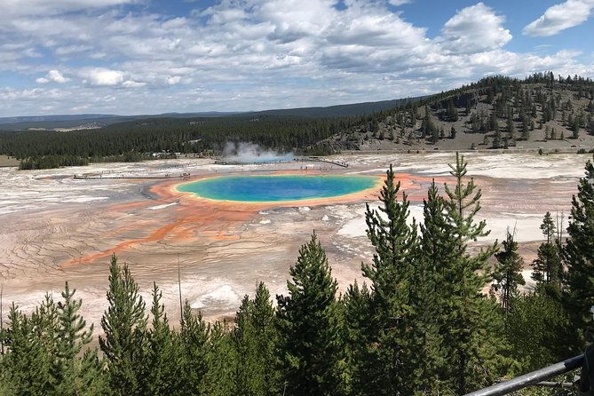 private-yellowstone-tour-4-or-more-people-picnic-binoculars-spotting-scope