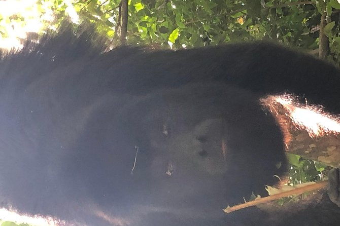 private-zipline-baboon-sanctuary-experience