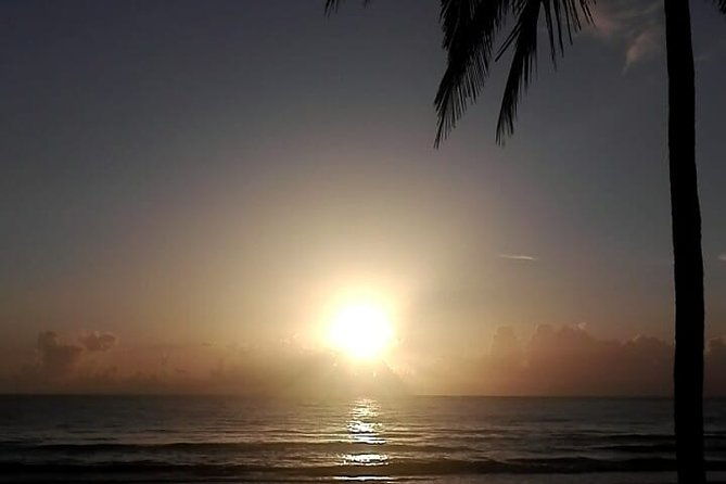 professional-surf-lessons-dominican-republic-cabarete-encuentro