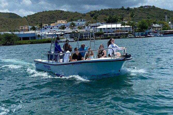 puerto-rico-bio-bay-swim-and-sunset-charter-late-night-tour