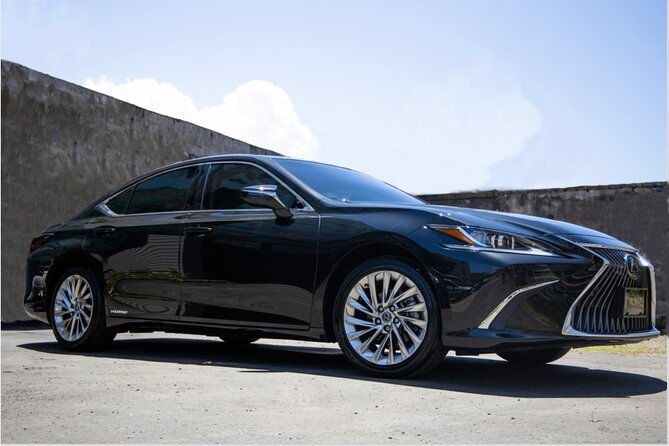 puerto-rico-island-wide-transfer-tesla-model-x-luxury-suv