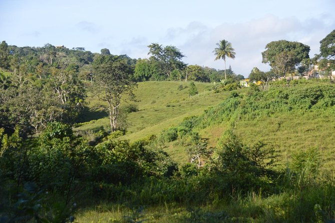 puerto-rico-waterfall-hiking-tour-discover-hidden-gems-2-0