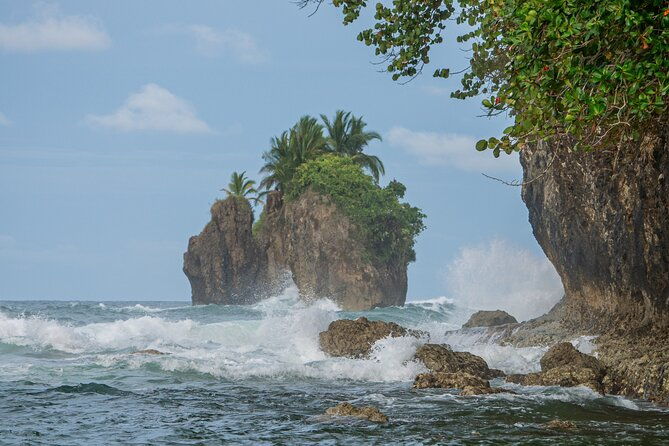 puerto-viejos-walking-tour-wildlife-local-tips-and-history