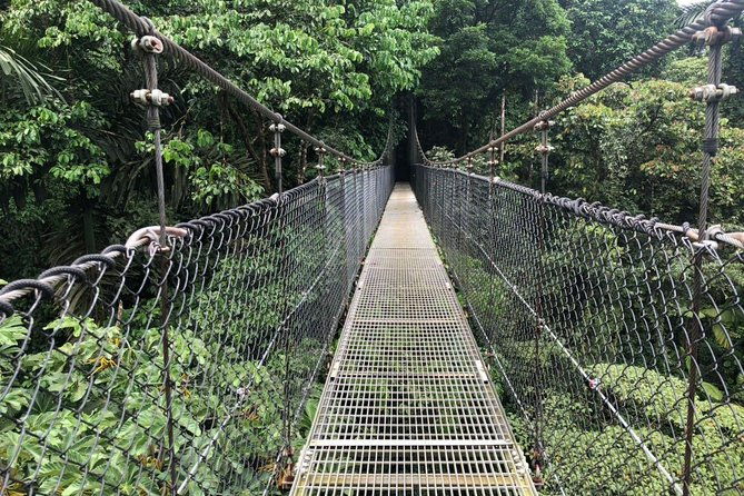 puntarenas-shore-excursion-rainforest-hanging-bridges-skywalk-tour-boat-tour