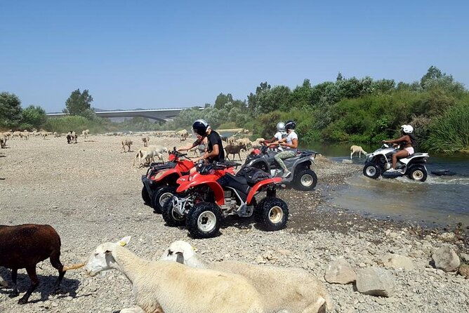 quad-bikes-for-guided-tours