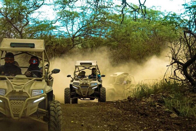 quad-buggy-excursion-tour