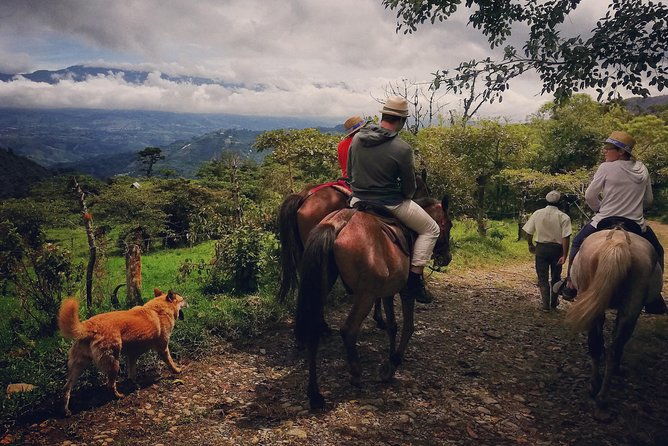 queveri-horseback-riding-tours