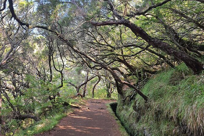 rabacal-hike-25-fontes-risco-levada-self-guided
