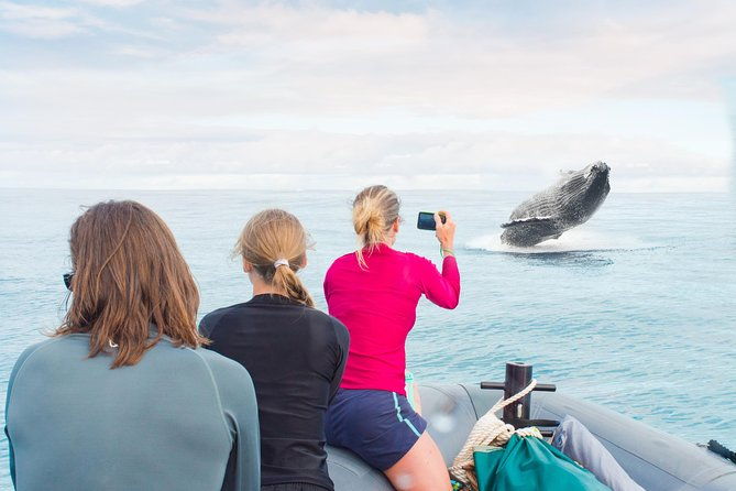 raft-adventure-whale-watch-discovery