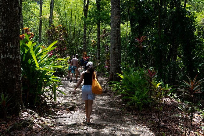 rainforest-hike-and-waterfall-safari