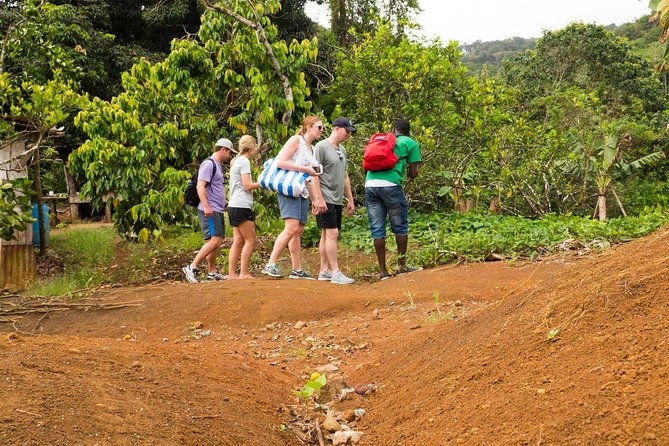 rainforest-hike