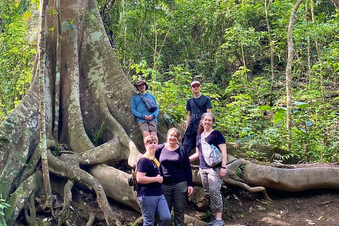 rainforest-wildlife-panama-hat-makers-traditional-cuisine-shore-tour