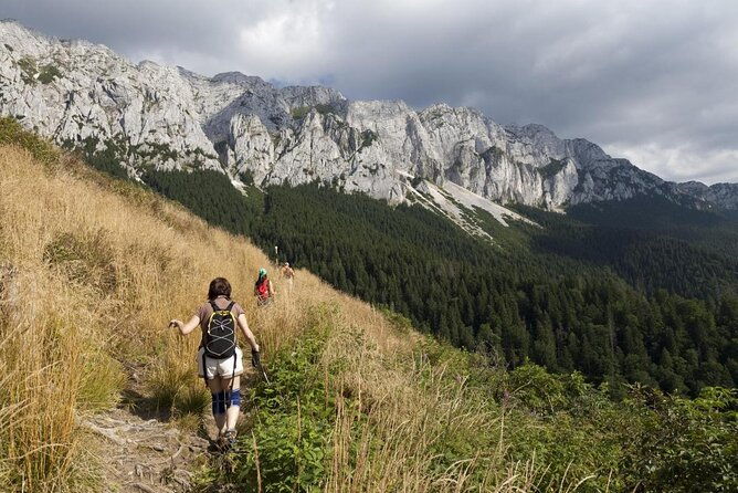 rambling-in-transylvania