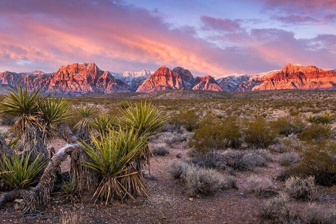 red-rock-canyon-guided-automatic-slingshot-express-tour