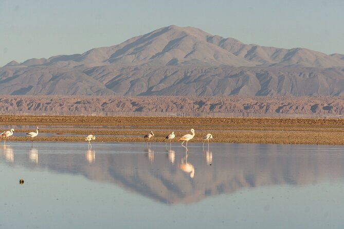 red-stones-high-plateau-lagoons-and-atacama-salt-flat
