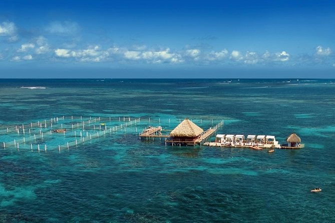reef-explorer-half-day-trip