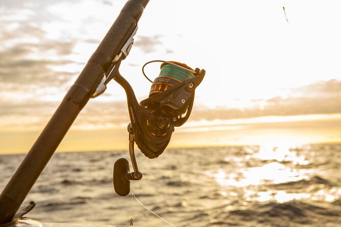 reef-fishing-experience-from-portimao
