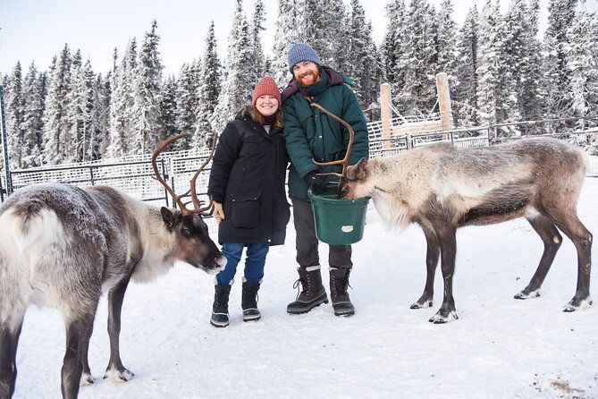 reindeer-and-heli-flightseeing-day-trip-with-lunch