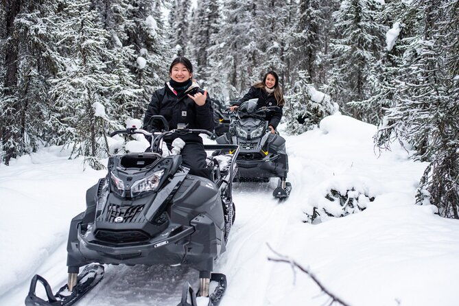 reindeer-and-snowmobile-day-trip-to-borealis-basecamp-with-lunch