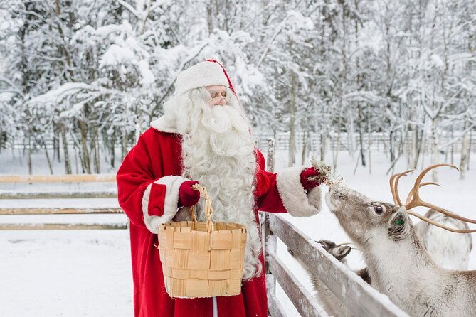 reindeer-sleigh-ride-and-farm-experience-from-rovaniemi