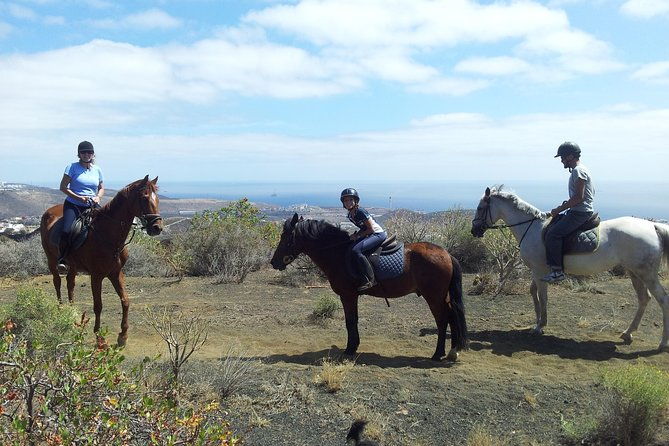 relaxing-horse-riding-tour-in-gran-canaria-4