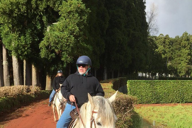 ride-a-volcano-go-to-the-gardens-in-the-woods