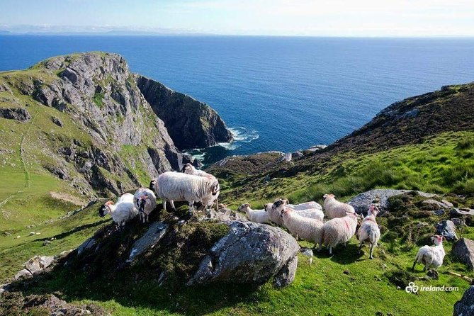 ring-of-kerry-skellig-ring-private-day-tour