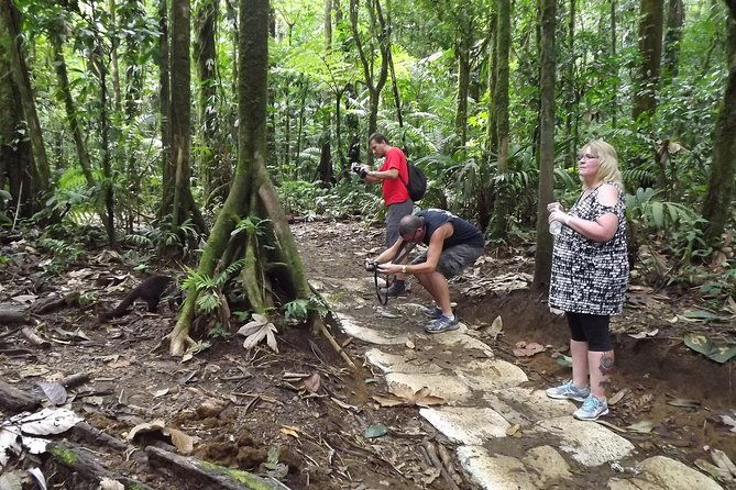 rio-celeste-waterfall-sloth-encounter-tour