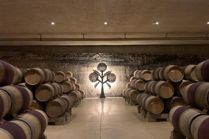 rioja-alavesa-wineries-and-medieval-villages-day-trip-2