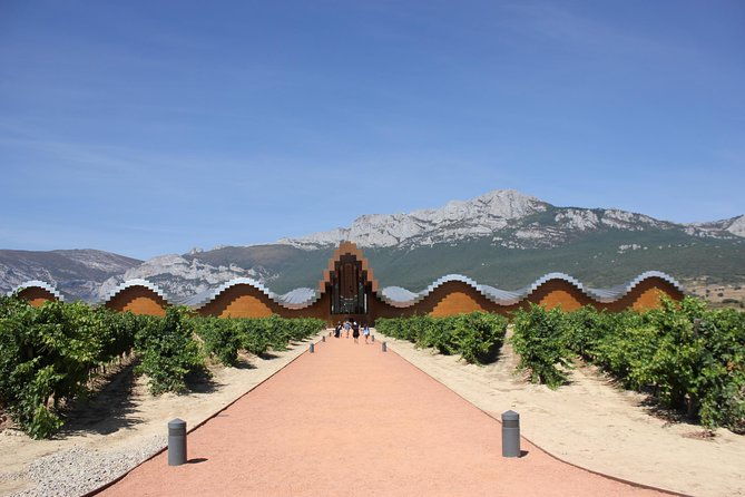 rioja-full-experience-tour-from-san-sebastian-with-lunch