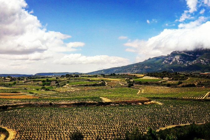 riojas-top-wines-tasting-private-tour