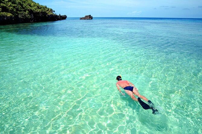 roatan-chocolate-factory-rum-factory-and-beach-day-tour