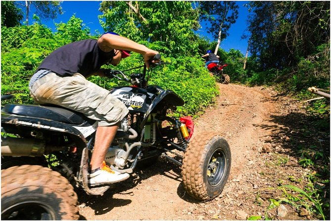 roatan-eco-safari-dune-buggy-wildlife-history-beach-adventure