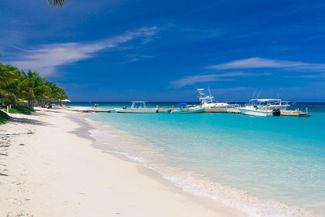 roatan-excursion-beach-break-plus-sloth-park-and-snorkel-adventure