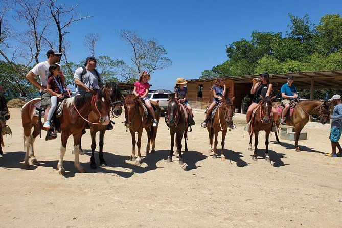 roatan-excursion-horseback-ride-plus-sloth-park-and-glass-bottom-boat