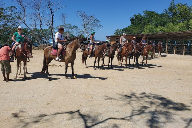 roatan-excursion-horseback-ride-sloths-park-snorkel-with-beach-break