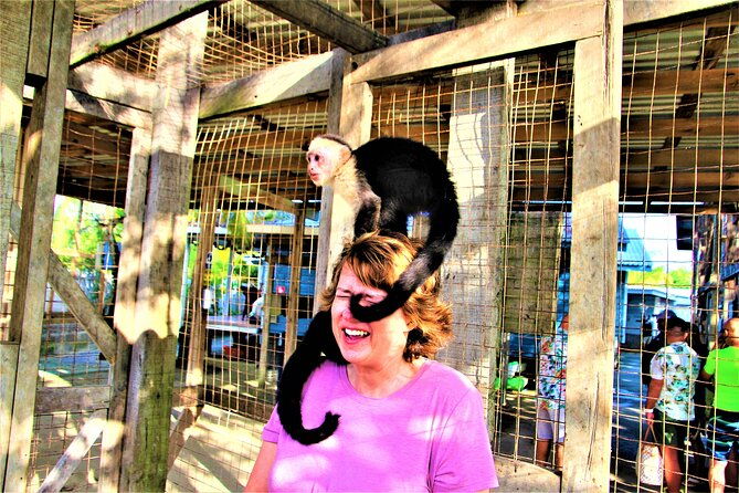 roatan-excursion-zip-line-with-sloths-park