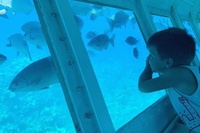 roatan-glass-bottom-boat-tour-and-beach