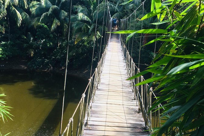 roatan-gumbalimba-preservation-eco-park-beach