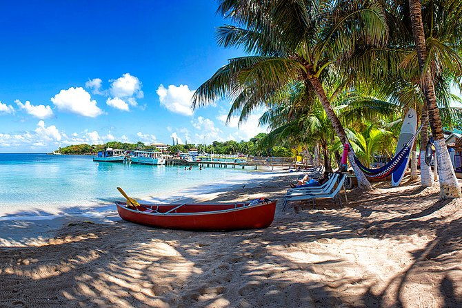 roatan-horseback-and-glass-bottom-boat-tour