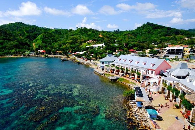 roatan-jungle-top-wildlife-guided-eco-park-tour