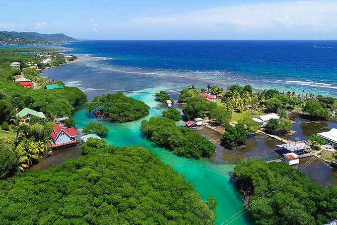 roatan-mangrove-tunnel-culture-tour-on-a-water-taxi-tuk-tuk