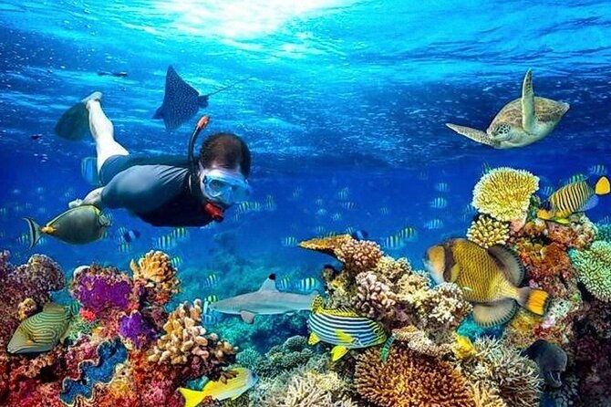 roatan-shore-excursion-snorkelling-sloths-monkeys-beach-break