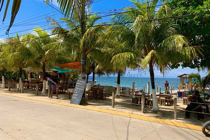 roatan-vip-shore-excursion-island-tour-and-beach