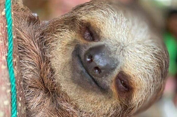 roatan-wildlife-experiences-chocolate-rum-tasting-city-tour