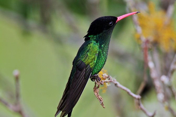 rockland-bird-sanctuary-private-tour-2